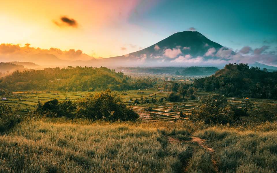Signature Indonesia | The Sacred Wild Isles - Exodus Adventure Travels - Indonesia - Image 19
