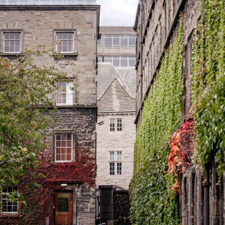 Signature: Ireland's Legendary Landscapes & Cities trip - alternative tour available