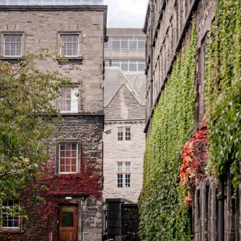 Signature: Ireland's Legendary Landscapes & Cities - May 2027