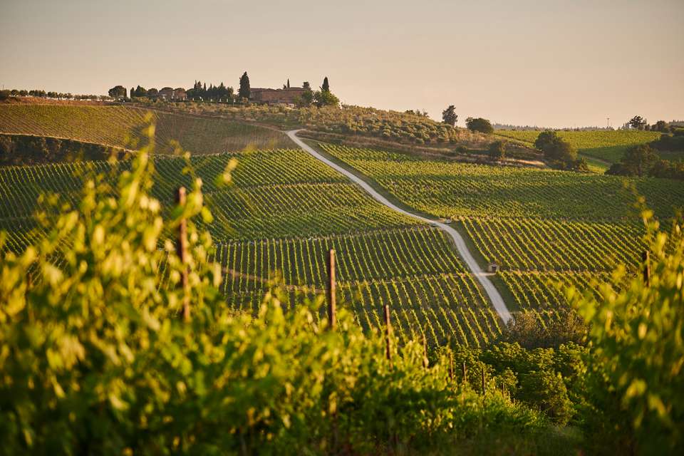 Signature Italy | Allure of Renaissance Tuscany - Exodus Adventure Travels - Italy - Image 24