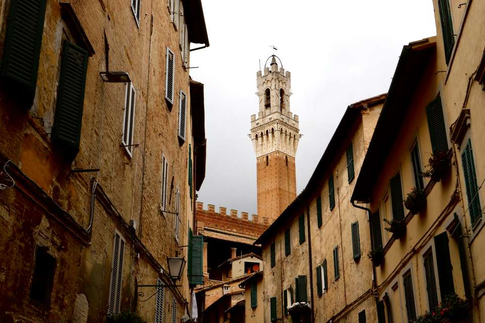 Signature Italy | Allure of Renaissance Tuscany - Exodus Adventure Travels - Italy - Image 21