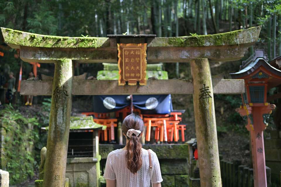 Signature Japan | Through Temples & Time - Exodus Adventure Travels - Japan - Image 10