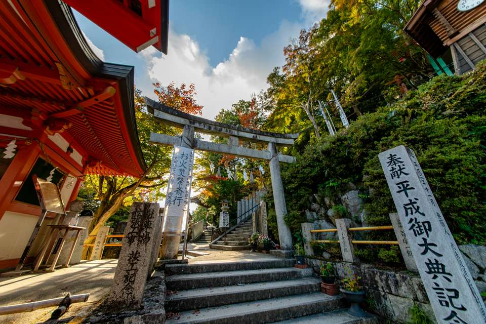 Signature Japan | Through Temples & Time - Exodus Adventure Travels - Japan - Image 12