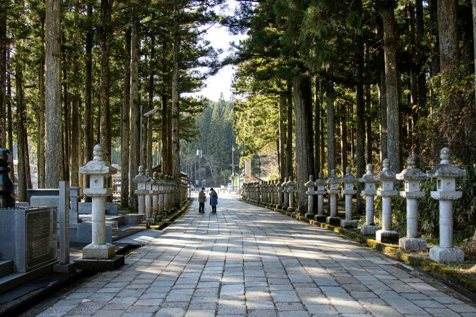 Signature Japan | Through Temples & Time - Exodus Adventure Travels - Japan - Image 13