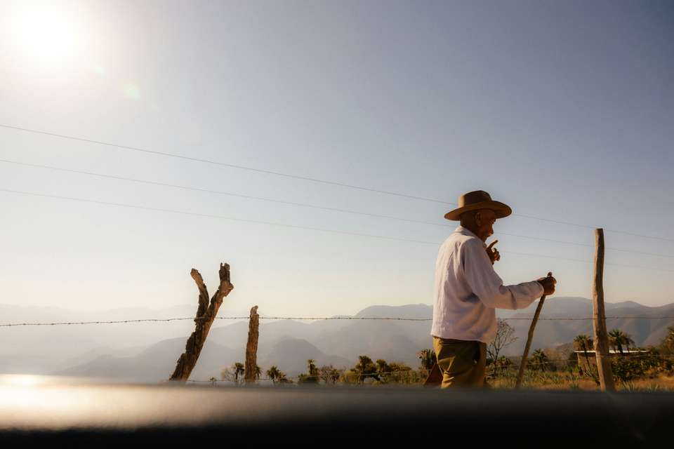Signature Mexico | Among Ruins & Ritual - Exodus Adventure Travels - Mexico - Image 6