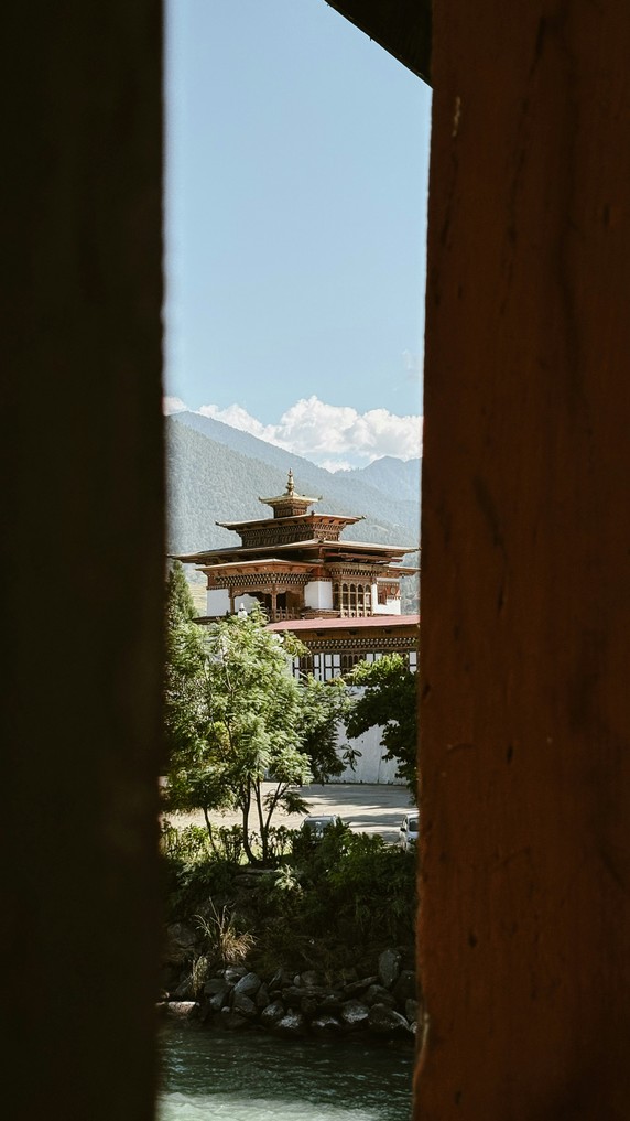 Image 3 of 19