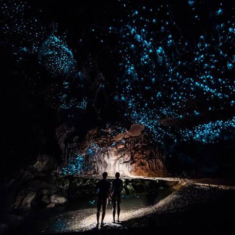 New Zealand Self-guided Tours: Signature: New Zealand, Milford Sound & Maori Culture