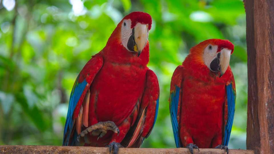 Signature: Peru from Machu Picchu to the Amazon Jungle - G Adventures - Peru - Image 9