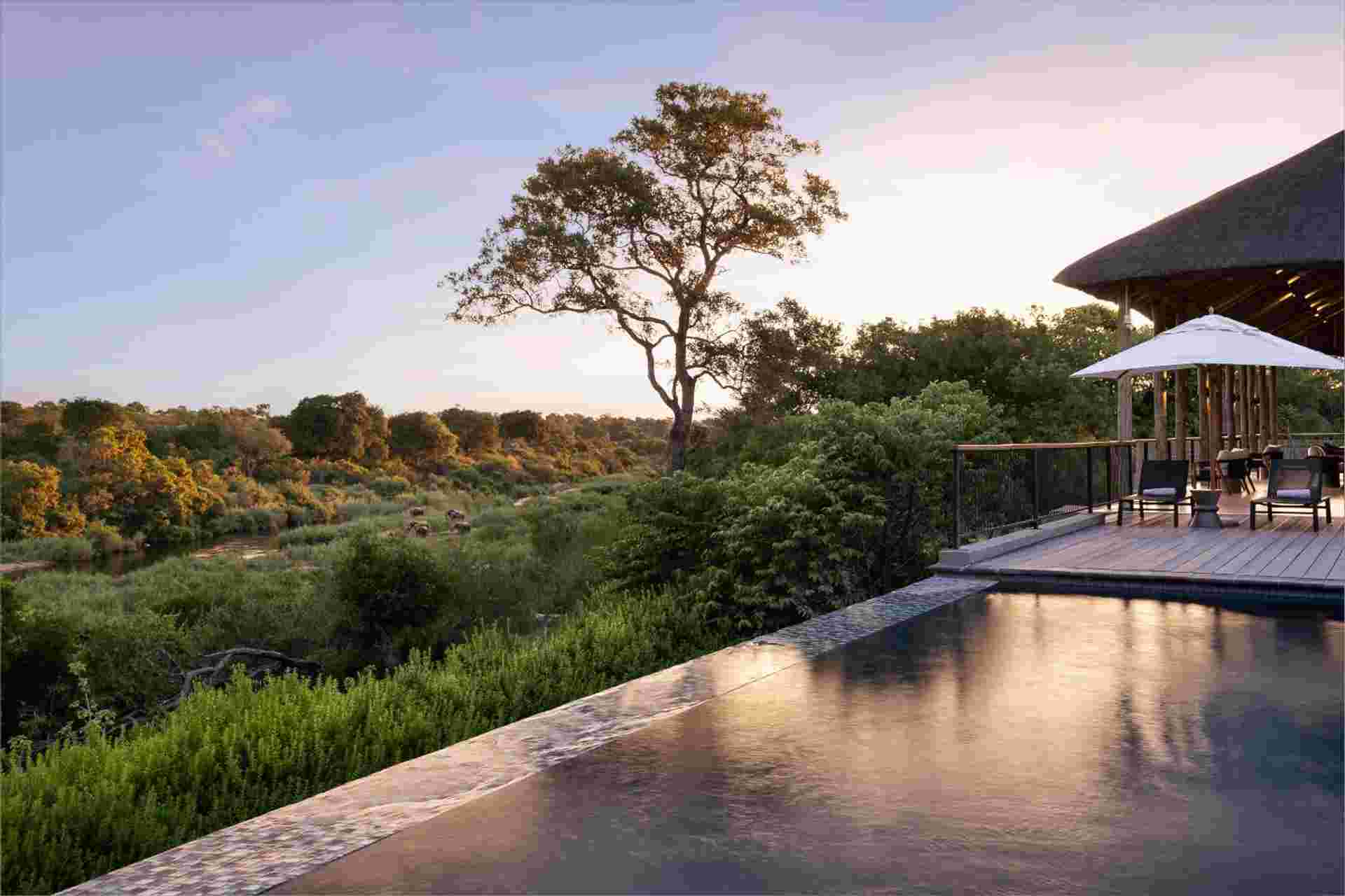 Signature South Africa | Across the Wild Plains