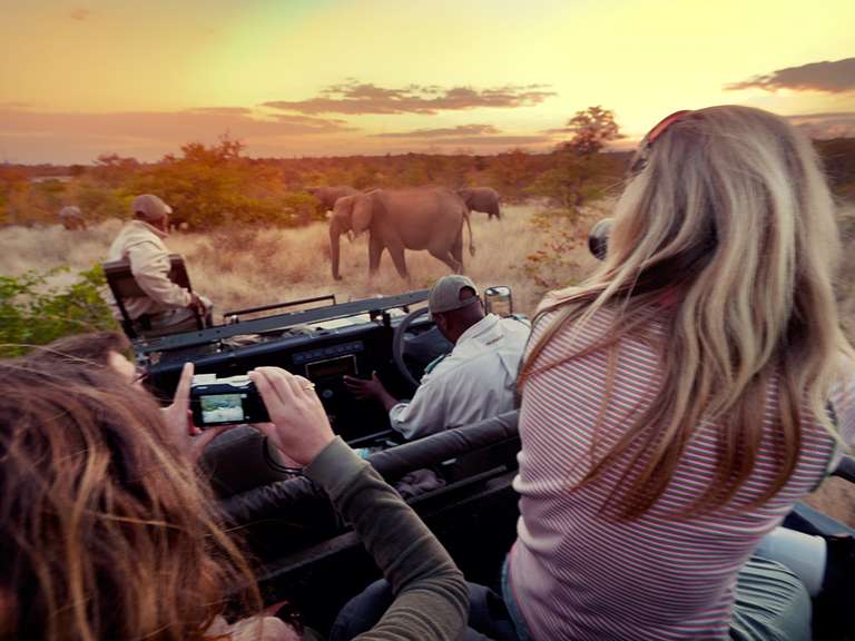 Signature: South Africa's Kruger National Park trip - alternative tour available