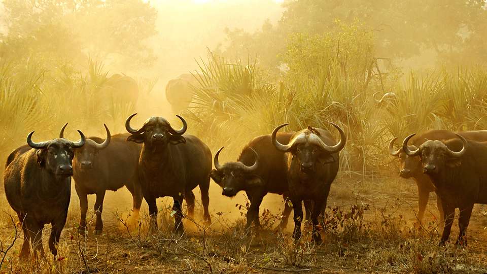 Signature: Southern Africa from Cape Town to Victoria Falls - G Adventures - South Africa