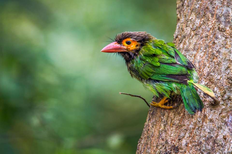 Signature Sri Lanka | The Island of Serendipity - Exodus Adventure Travels - Sri Lanka