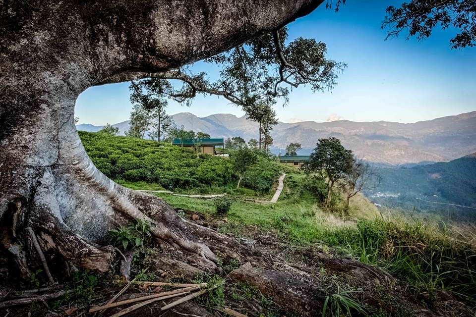 Signature Sri Lanka | The Island of Serendipity - Exodus Adventure Travels - Sri Lanka