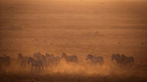 Signature: Tanzania & Kenya — Serengeti To The Maasai Mara