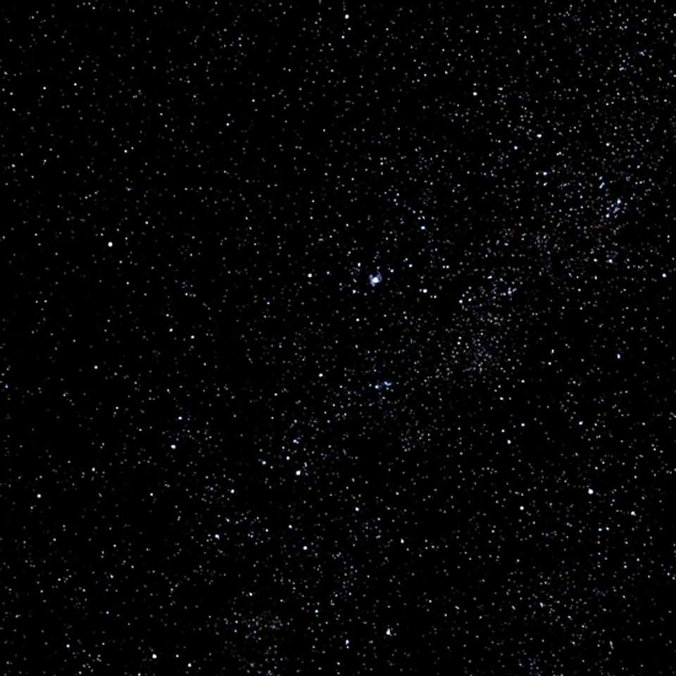 Image 6 of 16