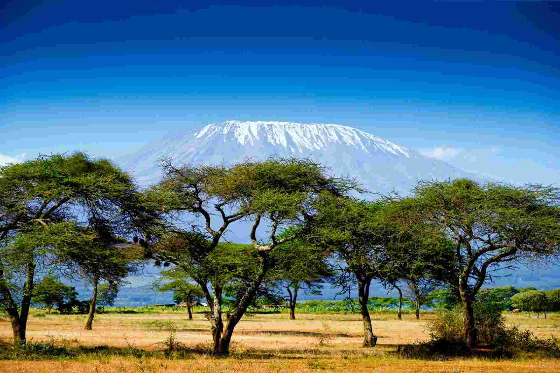 Simba Safari, Tanganyika Wilderness Camps - Private Tour