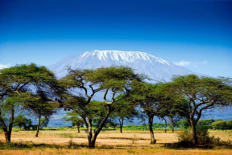 Tanzania Wildlife safaris and game drives Tour: Simba Safari, Tanganyika Wilderness Camps - Private Tour