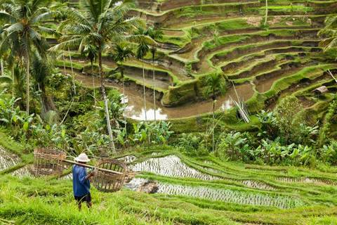 Indonesia Guided And Escorted Tours: Simply Bali, Private Tour