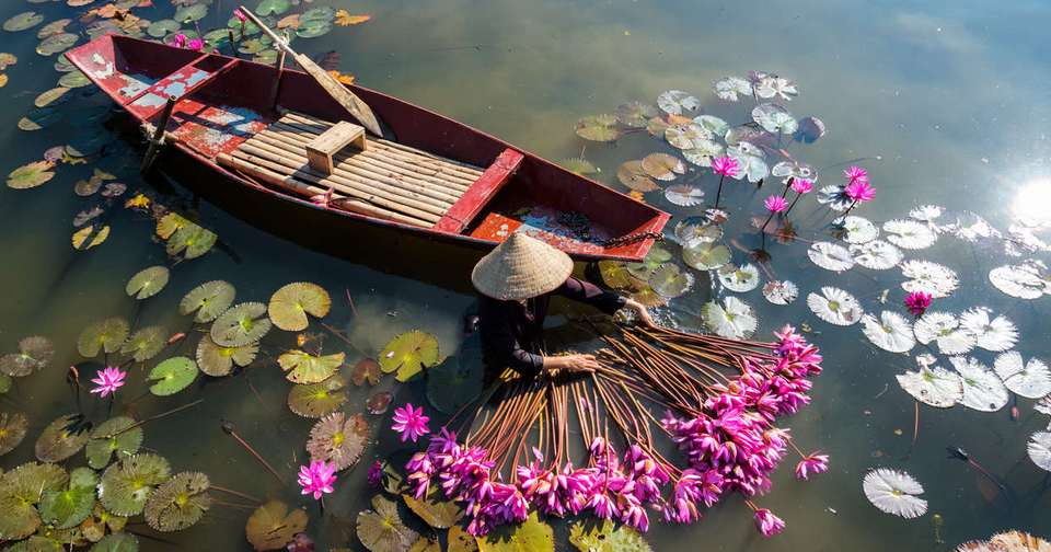 Simply Bangkok to Hanoi - Explore - Thailand - Image 5