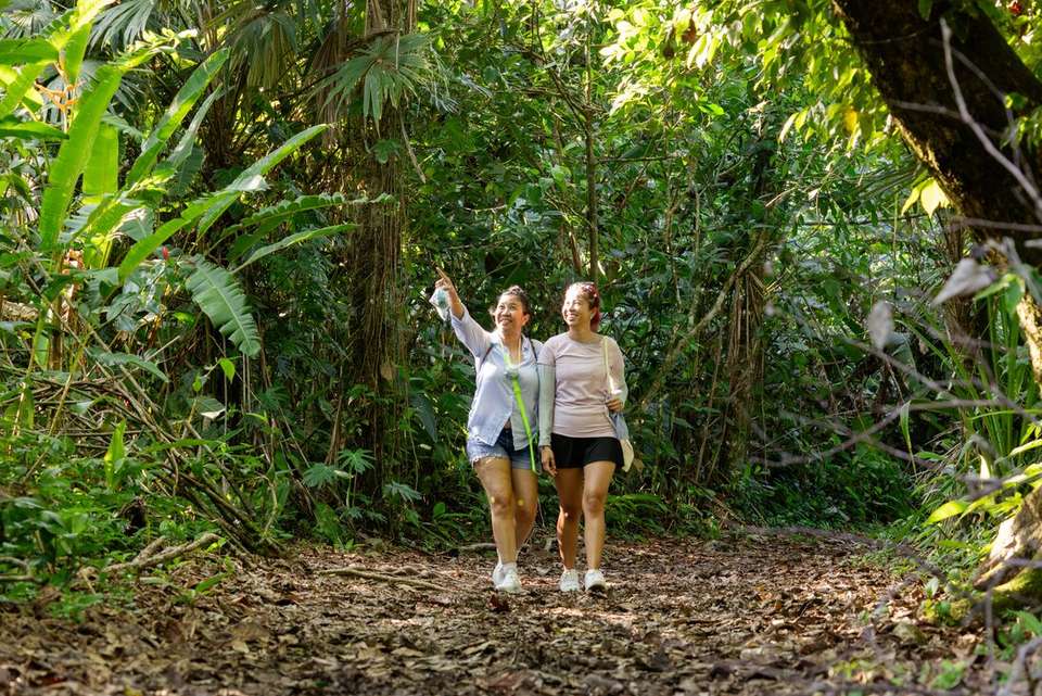 Simply Costa Rica - Intrepid Travel - Costa Rica - Image 3