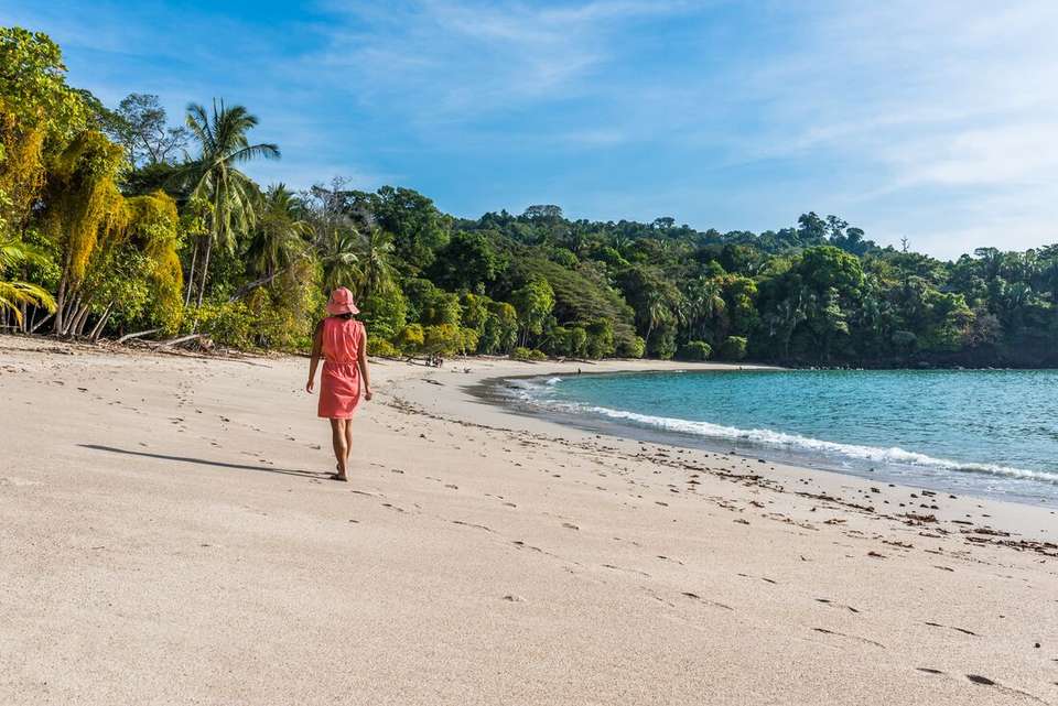 Simply Costa Rica - Intrepid Travel - Costa Rica - Image 5