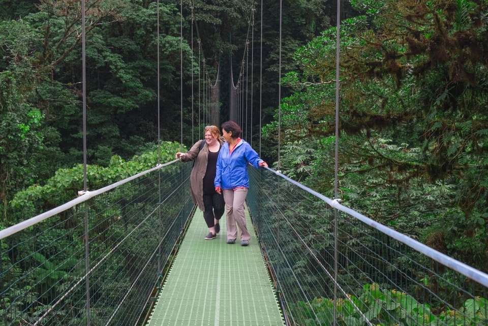 Simply Costa Rica - Intrepid Travel - Costa Rica - Image 9