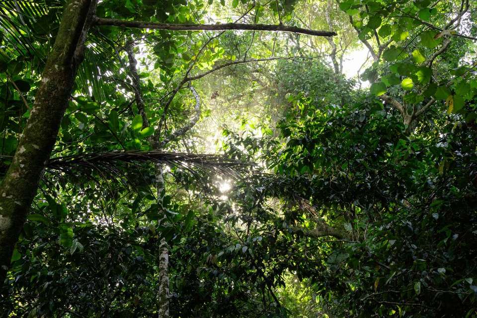 Simply Costa Rica - Intrepid Travel - Costa Rica - Image 14