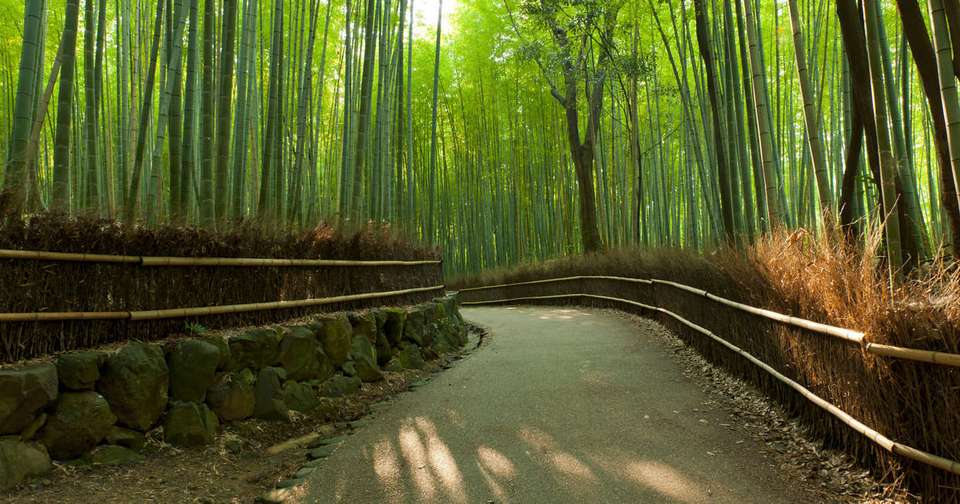 Simply Japan - Explore - Japan - Image 11