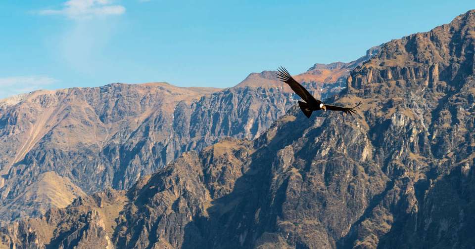 Simply Peru - Explore - Peru - Image 7