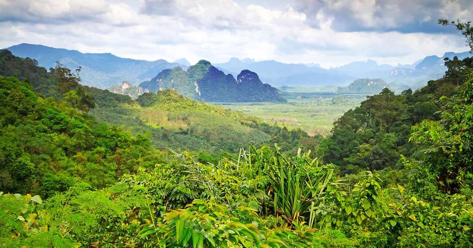 Discover Thailand - Explore - Thailand - Image 5