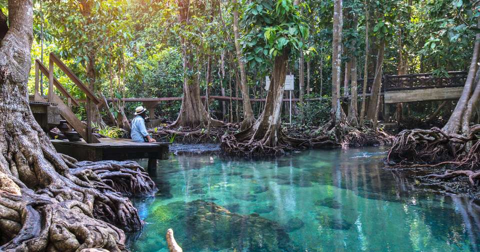 Discover Thailand - Explore - Thailand - Image 7