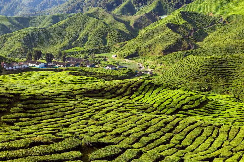 Singapore to Malaysia Real Food Adventure - Intrepid Travel - Singapore - Image 3