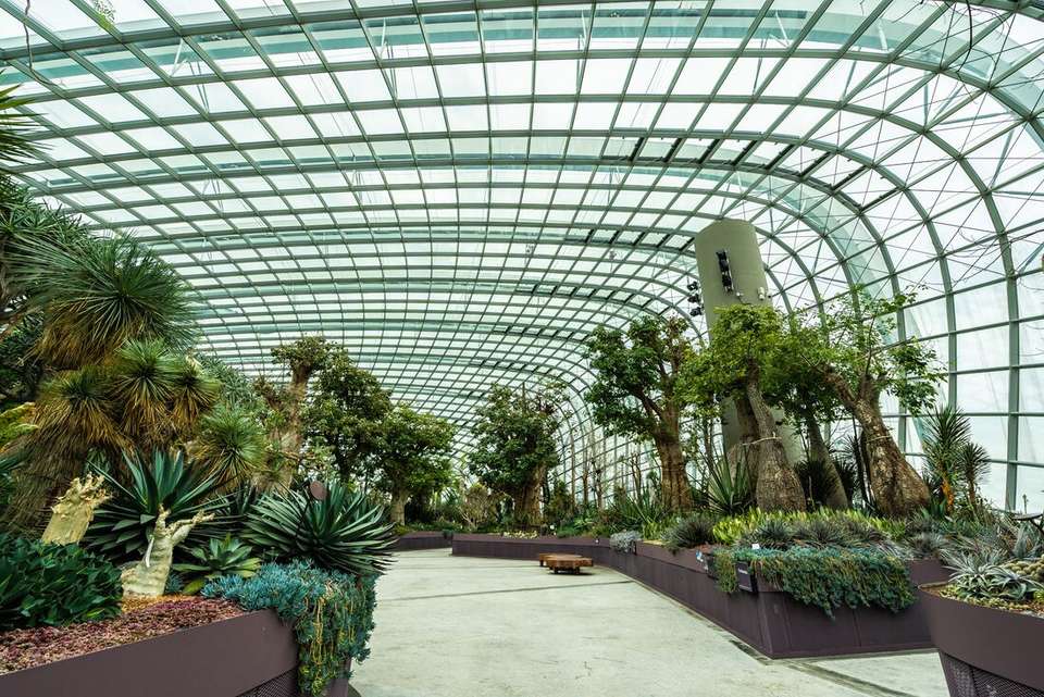 Singapore to Malaysia Real Food Adventure - Intrepid Travel - Singapore - Image 6
