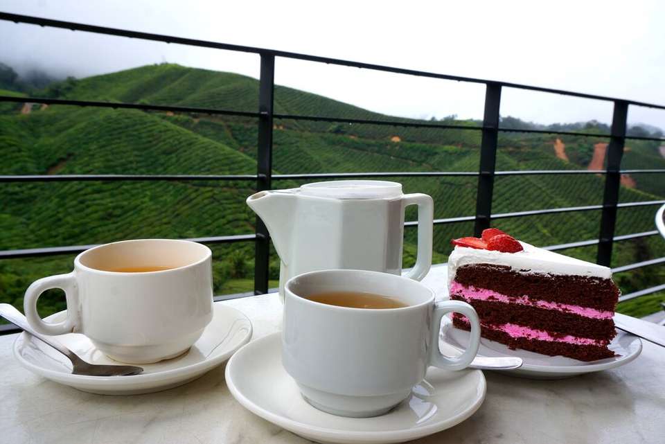 Singapore to Malaysia Real Food Adventure - Intrepid Travel - Singapore - Image 9