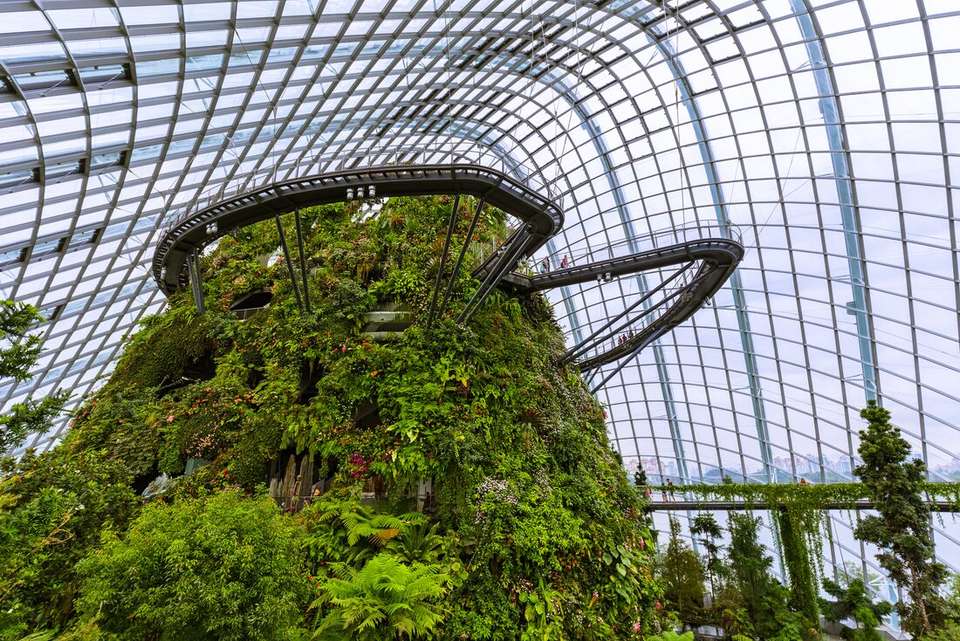 Singapore to Malaysia Real Food Adventure - Intrepid Travel - Singapore - Image 14