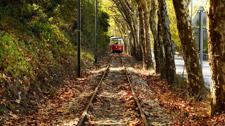 Sintra Rural & Coast Experience - Wonder Van - Portugal - Image 25