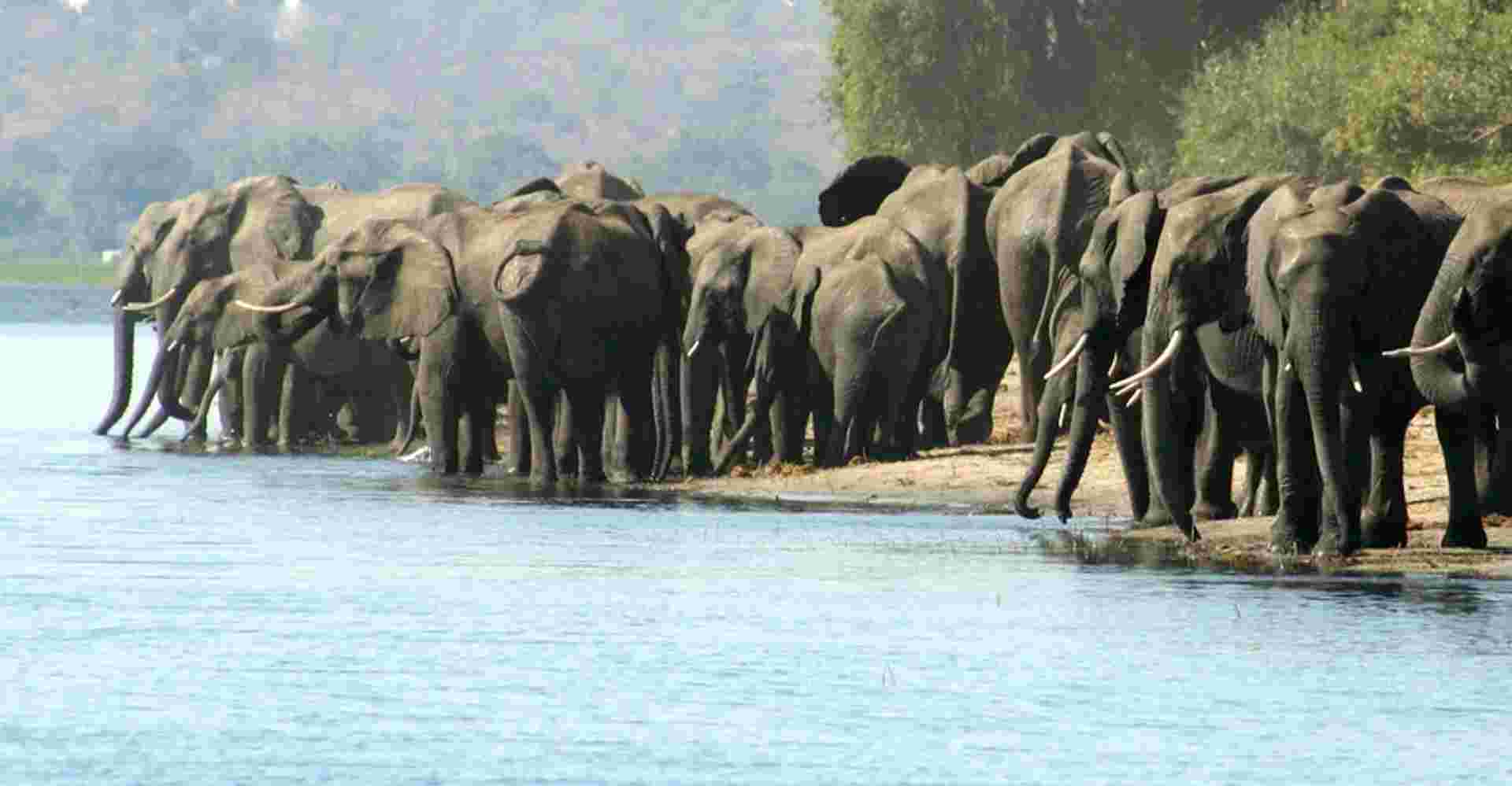 Six Day Hwange National Park and Victoria Falls Combo
