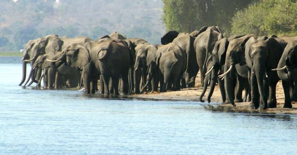 Six Day Hwange National Park and Victoria Falls Combo - Dk Tours & Safaris - Zimbabwe