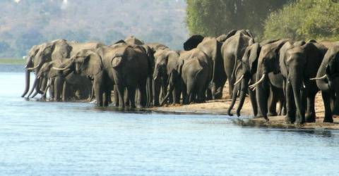 Zimbabwe Guided And Escorted Tours: Six Day Hwange National Park And Victoria Falls Combo