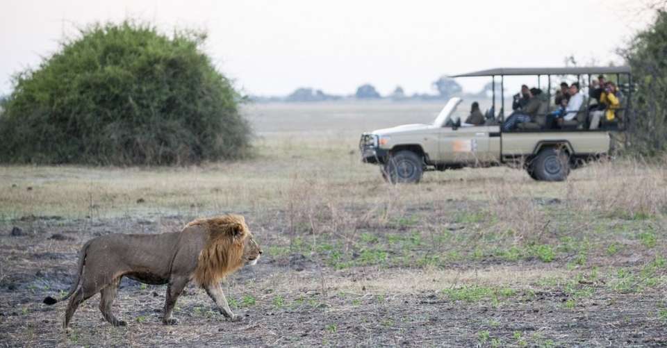 Six Day Hwange National Park and Victoria Falls Combo - Dk Tours & Safaris - Zimbabwe