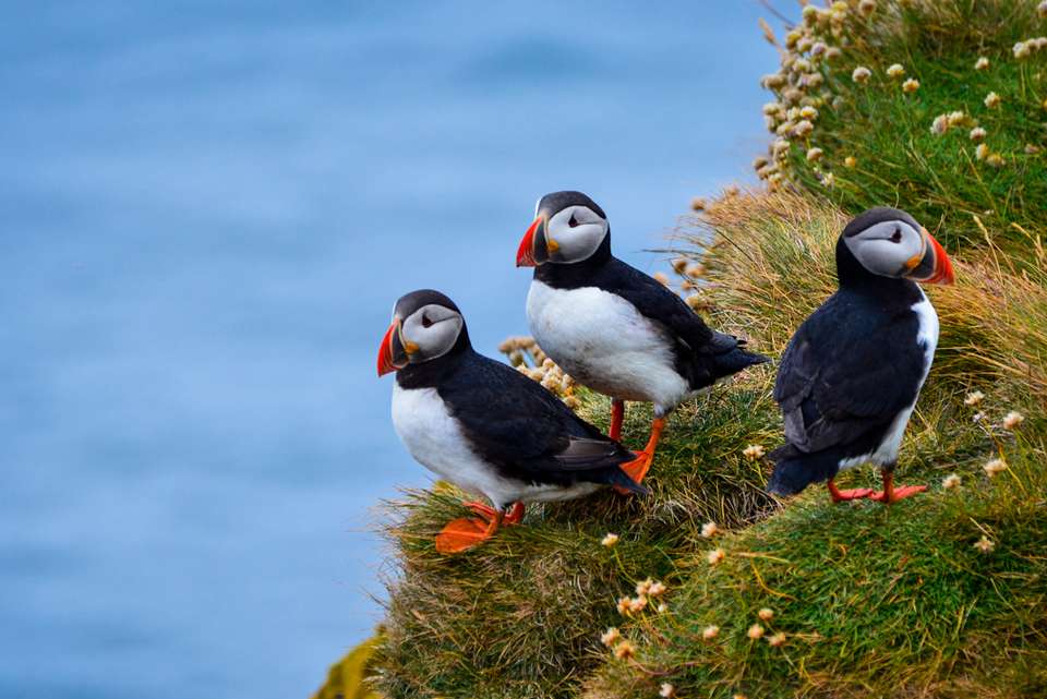 Six Days in Iceland - Intrepid Travel - Iceland - Image 13