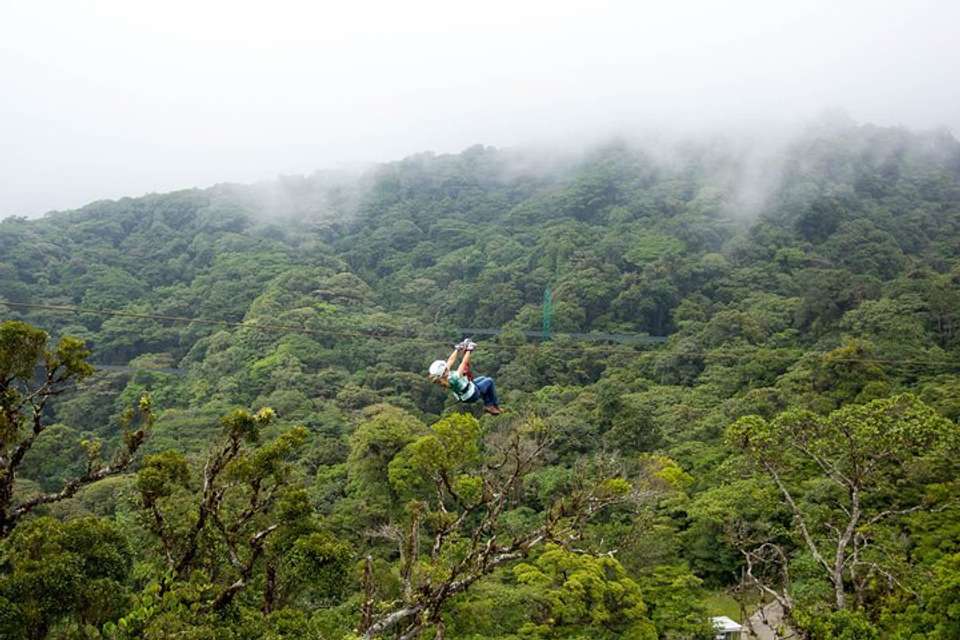 Sky Tram And Sky Trek From Monteverde - Destination Services - Costa Rica - Image 5