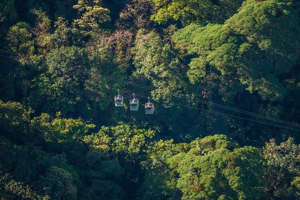 Sky Tram- Sky Trek And Arboreal Tree Climbing From Monteverde - Destination Services - Costa Rica - Image 5