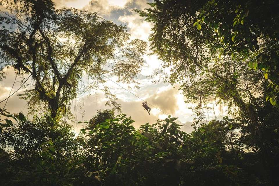 Sky Tram- Sky Trek And Arboreal Tree Climbing From Monteverde - Destination Services - Costa Rica - Image 6