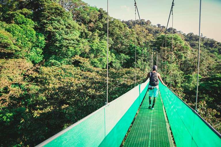 Costa Rica Bus Tour: Sky Walk From Monteverde