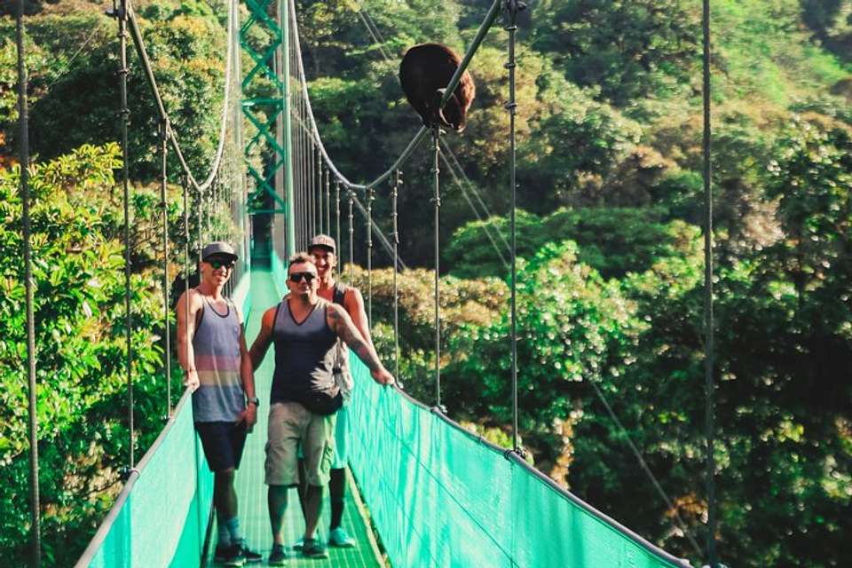 Sky Walk From Monteverde - undefined - Image 3
