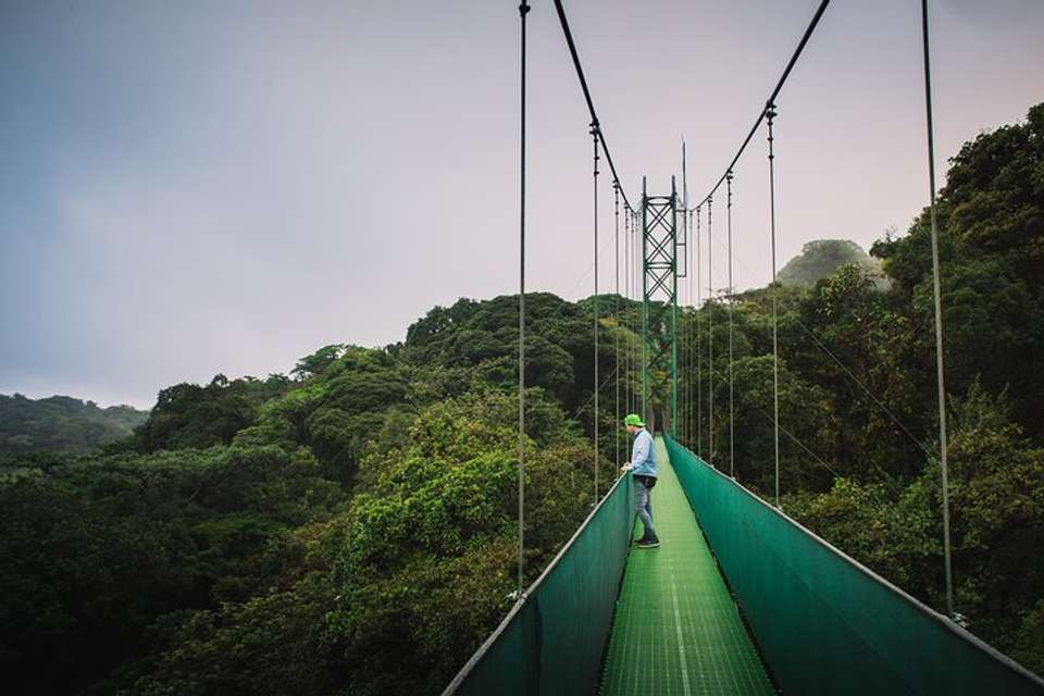 Sky Walk From Monteverde - undefined - Image 4