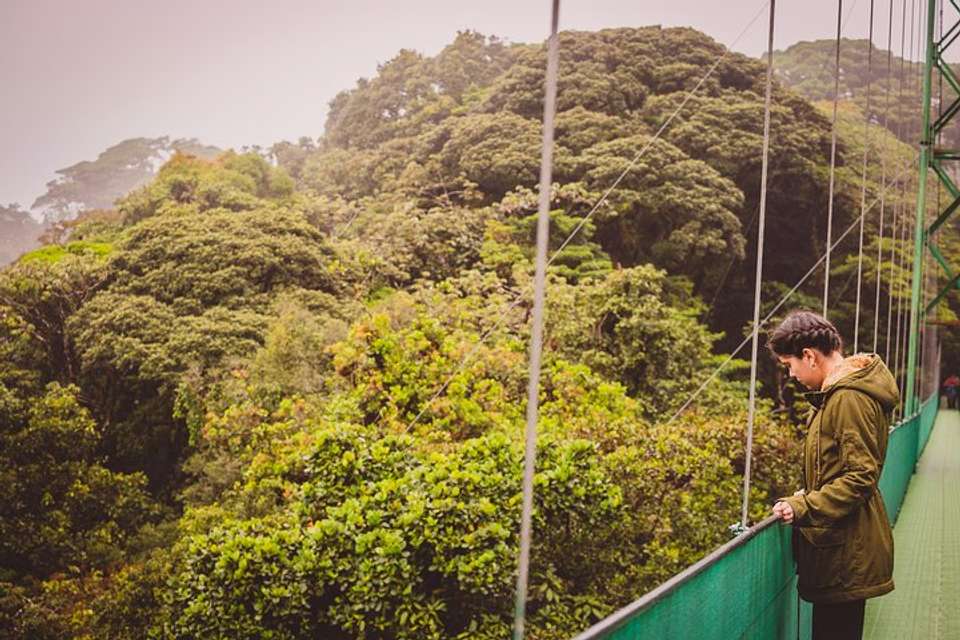 Sky Walk From Monteverde - undefined - Image 5