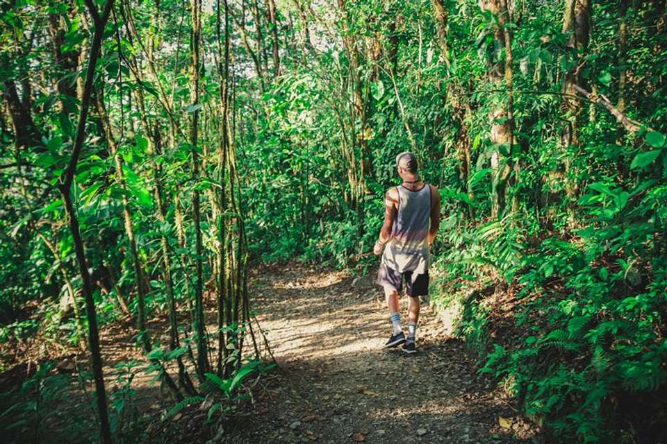 Sky Walk From Monteverde - undefined - Image 6