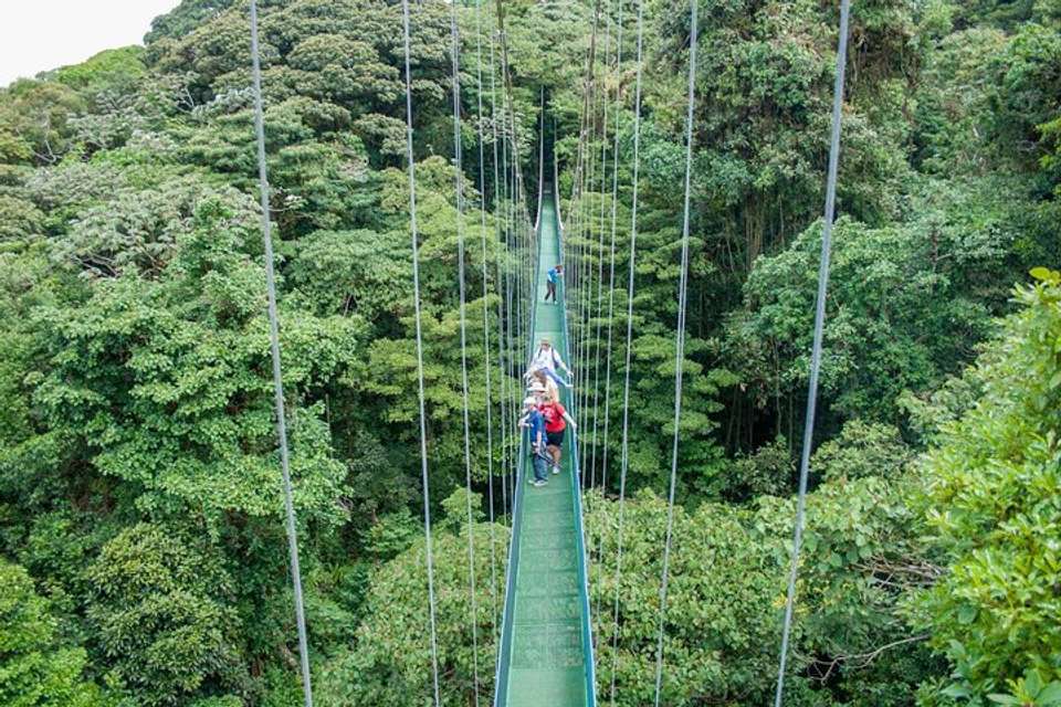 Sky Walk From Monteverde - undefined - Image 8